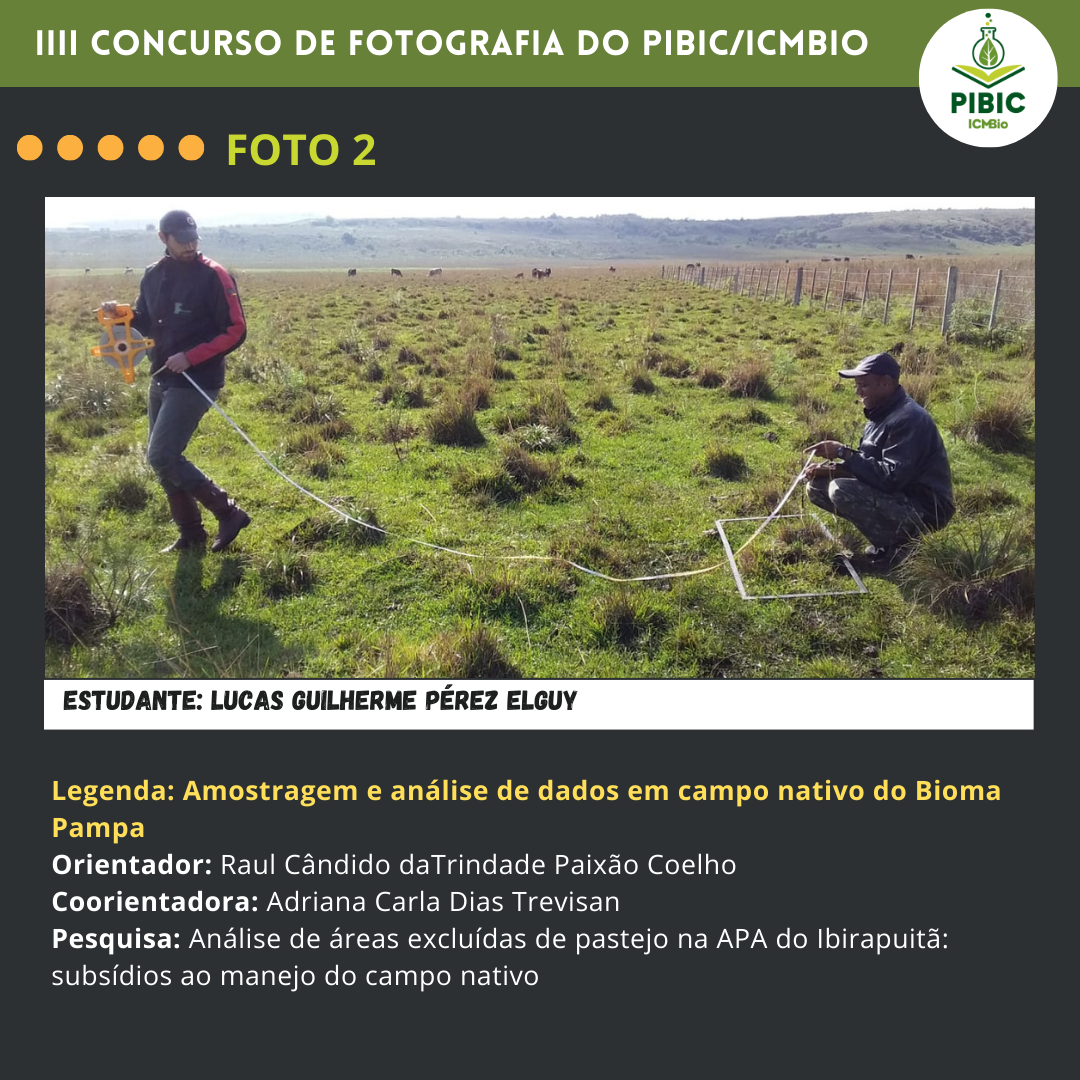 Amostragem e análise de dados em campo nativo do Bioma Pampa 